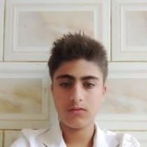 محمود محمود
