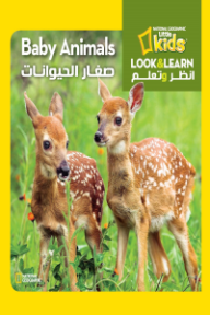 صغار الحيوانات