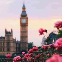 شذا منذر سالم 1