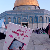 لا يوجد صوره