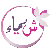 لا يوجد صوره