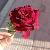 لا يوجد صوره