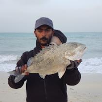 Ali Albeshri