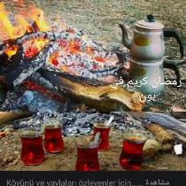 ahmadaez