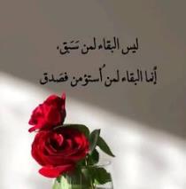 بشري الصابرين