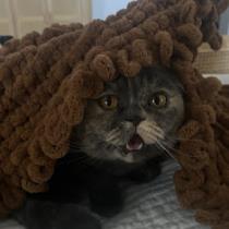 Asma