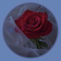 حنان اامسيري