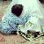 لا يوجد صوره