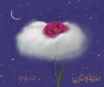 amany salem