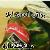لا يوجد صوره