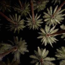 هديل الحربي