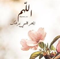 shimaa.yousuf2015@gmail.com