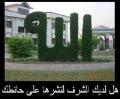 Mohamad Abdalla