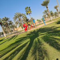 احمد المرحبي