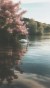 لا يوجد صوره
