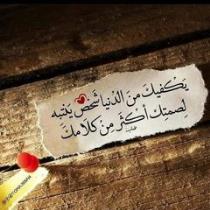 Amr Elnazer