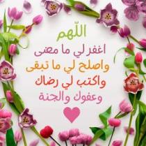 هبة عادل