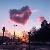لا يوجد صوره