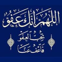 هبه يحي السيد