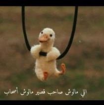سلمي المكاوي