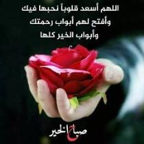 Anam Alkabii