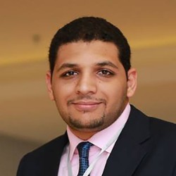 محمد عبد العزيز الهجين