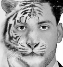 Morad Bridi