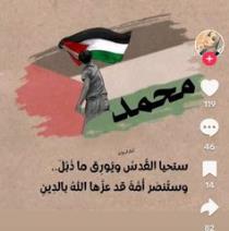 محمد نور ابوالخير