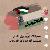 محمد نور ابوالخير