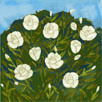 ليان الجميلي