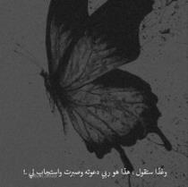 Roqaya Gamal Nawar