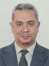 Ashraf ElGamel