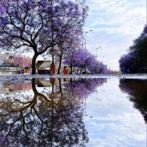 جنو ابو علبه ابو علبه