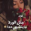 Gazal Saaed