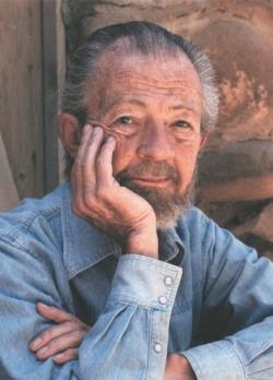 ديفيد هاوكينز