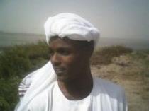 عمر العطا