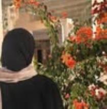 Aya El Sayed