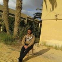 Mostafa Sakr