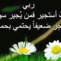 Arwa Usamah