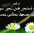 لا يوجد صوره