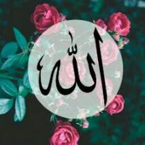 Doaa Wahab