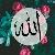 لا يوجد صوره