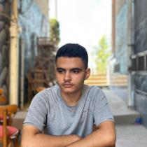 mohamed EL _SHAMY17