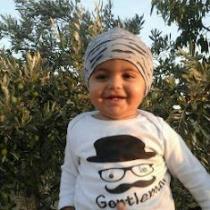 محمد سليمان