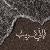 Arwa R