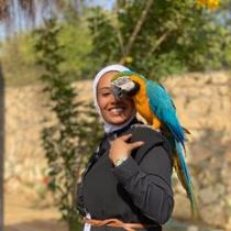Marwa Moustafa