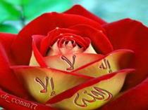 Gamal Hillil