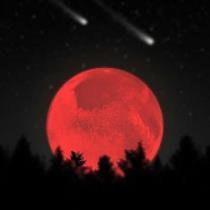 امیر عباس مولای