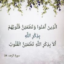 drmai fawzy