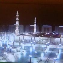 د.سماح سالم